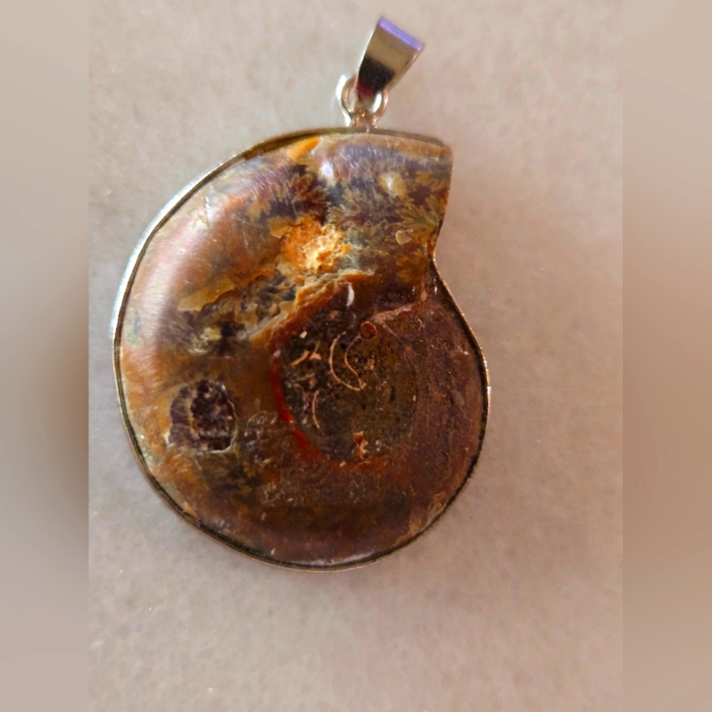 Ammonite Fossil Pendant